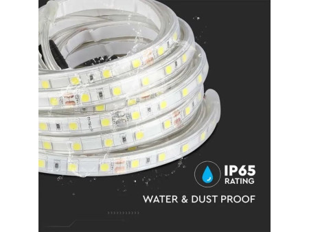 SKU 212564 VT-5050-60-IP65 V-TAC Strip LED SMD5050 10W/m Bobina 5m 60 LED/m 24V 6500K IP65 11mm