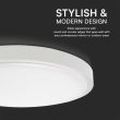 76171-altro-42b4.jpg