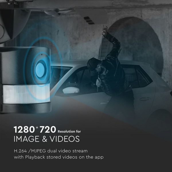 5917-altro-yvo0.jpg