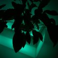 fioriera-led-ricaricabile-rgbw-12w-ip67-2.jpg