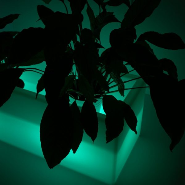 fioriera-led-ricaricabile-rgbw-12w-ip67-2.jpg